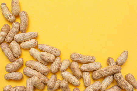 several boiled peanuts on a yellow backgroundの写真素材