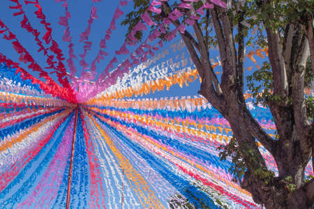 beautiful and colorful Festa Junina flags next to a tree