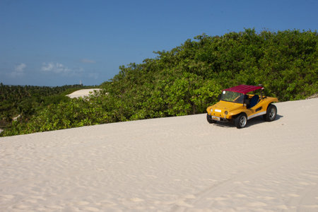 beach car at the beach in a sunny dayの写真素材