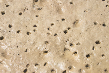 sand beige texture in a sunny day - textureの写真素材