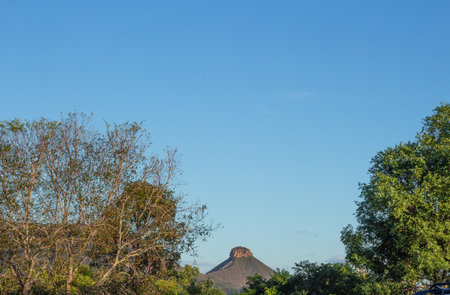 amazing landscape of the brazilian cerrado with mountains in the backgroundの写真素材