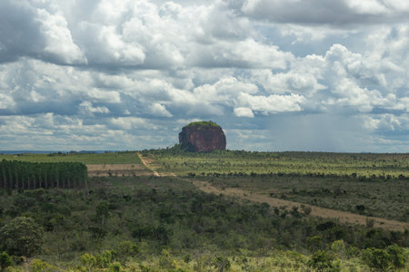 beautiful landscape of the brazilian cerrado with testimonial hillの写真素材
