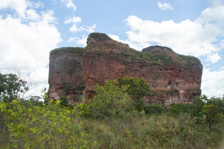 beautiful landscape of the Brazilian cerrado with witness hill in the backgroundの写真素材