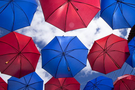 several blue and red parasols hanging on a sunny dayの写真素材
