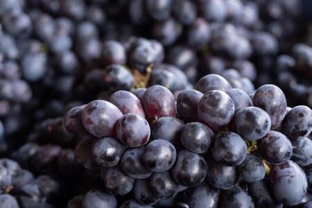 super close-up of bowl full of grapesの写真素材