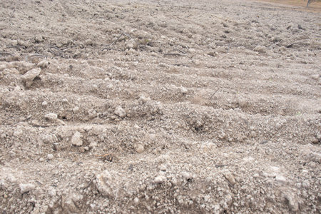 portion of fertilized and harrowed soil for agricultureの写真素材