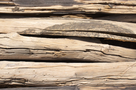 wooden trunks stacked together forming a natural textureの写真素材