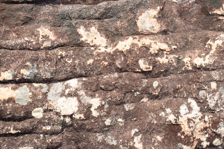 rock texture in beige toneの写真素材