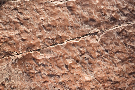 top view of rock texture in beige toneの写真素材