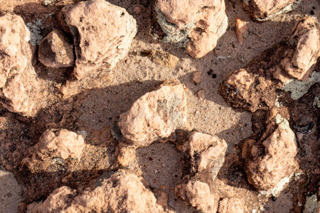 rock texture with several prominent stonesの写真素材