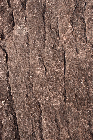 rock texture in dark beige toneの写真素材