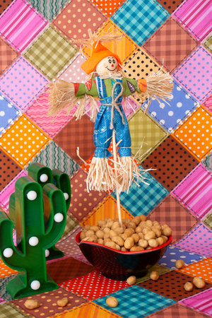 Cactus and a scarecrow on the background of a patchwork patternの写真素材