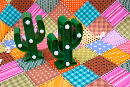 Cactus in a patchwork quilt as a background image.の写真素材