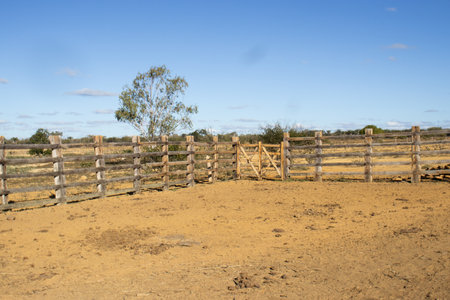 Wooden fence in the paddock with blue sky in the backgroundの写真素材