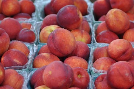 Nectarineの写真素材
