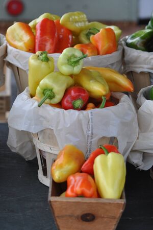 Peppersの写真素材