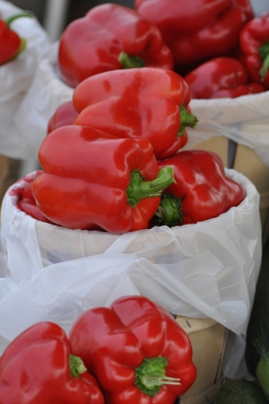 Colrful Peppersの写真素材