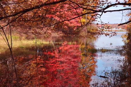 Lake in Autumnの写真素材