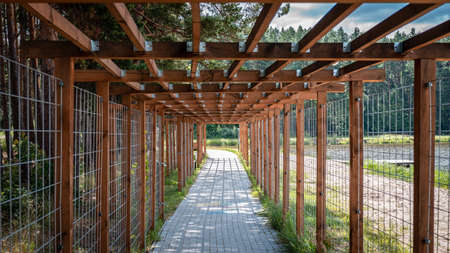 Wooden pergola (treillage) above cobblestone sidewalk leading along lake shoe and forest. One-point perspective.の写真素材
