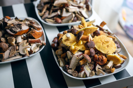plates full of cleaned, sliced, colored mushrooms. Bay bolete, larch bolete, slippery jack, orange birch bolete.の写真素材