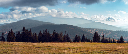 A view of the peaks of the Beskid Å»ywiecki mountain range. A meadow in the foreground. Rysianka,...