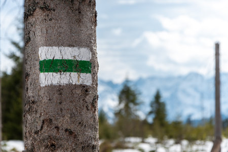 Marking the green trail on the tree. Mountains in the background. The green trail to Rusinowa Polana in the Tatra Mountains. Polandの写真素材