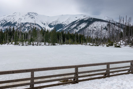 Panorama. A snow-covered pond surrounded by snow-capped mountains. Tatra National Park. Koscieliska Valley, Pond Smreczynski, Polandの写真素材