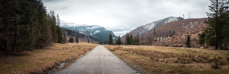 Mountain valley panorama in cloudy weather. Melt in early spring. Koscieliska Valley, Tatra Mountains, Polandの写真素材