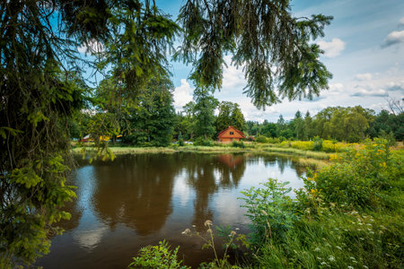 A small rural brown house by a pond surrounded by greenery. Beautiful rural landscape. Roztocze, Polandの写真素材