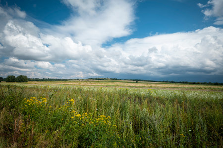 Beautiful rural landscape. Meadows full of flowers in the foreground. Hills with farmland in the background. Roztocze, Susiec, Polandの写真素材