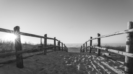 Black and white photo. Sandy entrance to the beach. Sunset. Wooden balustrades. Footprints in the sand. Dunes covered with grass. Slajszewo, Poland. Baltic Seaの写真素材