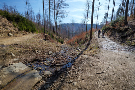 Yellow trail to Wielka Racza. Early spring in the mountains. Beskid Zywiecki. Knight of the Mountain. Beautiful sunny day. A stream in the foregroundの写真素材
