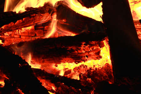 Burning logs on the campfireの写真素材