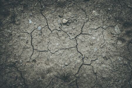 Dry ground: water shortage in hot summer, agricultureの写真素材