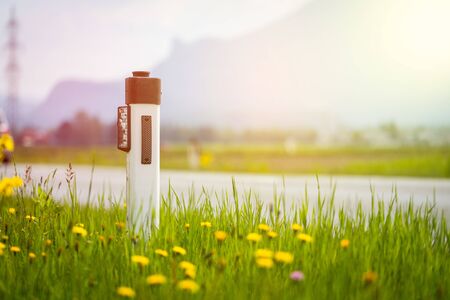 Reflector post at an idyllic asphalted road in summer, flowers and green grassの写真素材