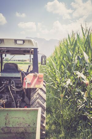 Tractor on an agriculture field, cut outの写真素材