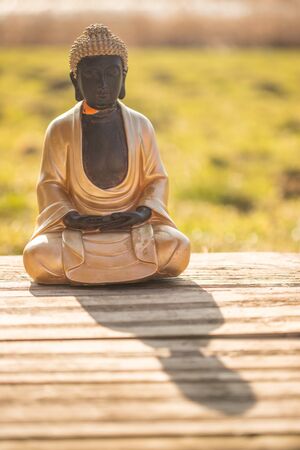 Buddha statue at an Indian temple, summer time. Text space.の写真素材