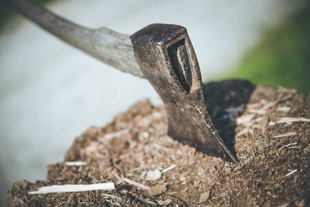 Old axe attached to a tree trunk, alpine hutの写真素材