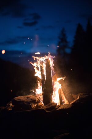 Forest bonfire in the summer, camping time with friends. Copy space.の写真素材