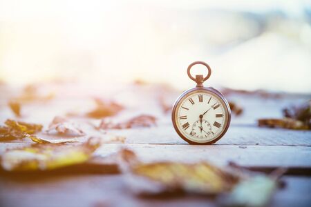 Vintage pocket watch on a wood board, colourful leaves, autumnの写真素材