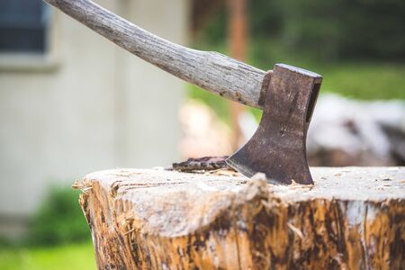 Old axe attached to a tree trunk, alpine hutの写真素材