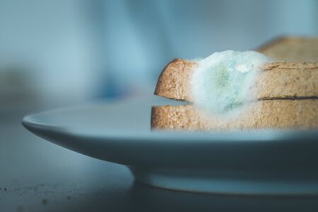Rotten toast slices with green mildew on itの写真素材