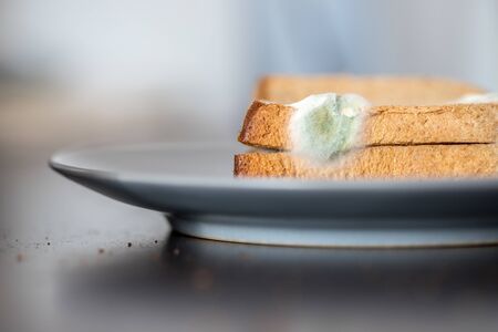 Rotten toast slices with green mildew on itの写真素材