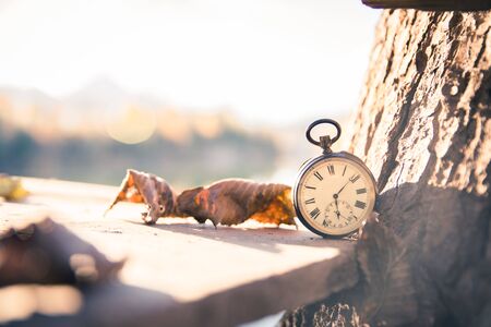 Vintage pocket watch on a wood board, colourful leaves, autumn, sunshineの写真素材