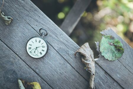 Vintage pocket watch on a wood board, colourful leaves, autumnの写真素材