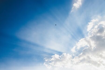 Bird on the beautiful blue sky with some clouds on itの写真素材