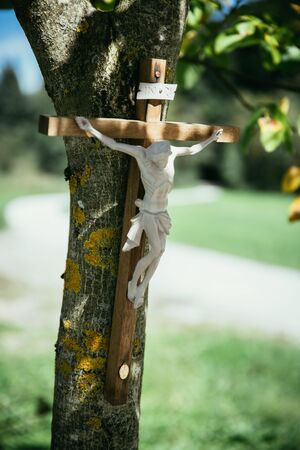Crucifix on a tree, outdoors, jesus christの写真素材