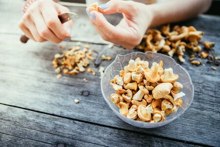 Preparing chanterelle mushrooms on an old rustic wooden tableの写真素材