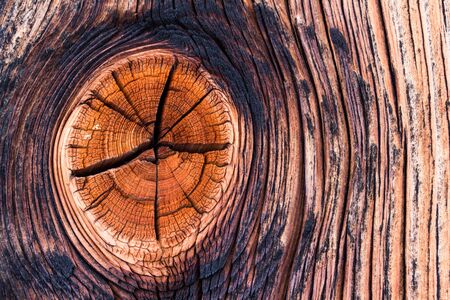 Closeup picture of old rustic wood, knothole