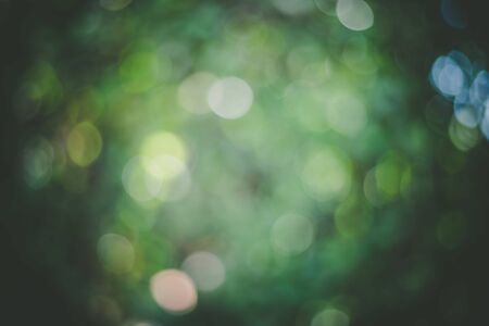 Green leaf bokeh pattern background picture, designの写真素材